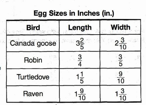 11. How much longer is the Canada goose egg than the raven egg?

12. How much wider is the turtled