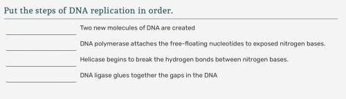 PLEASE HELP!
Put the steps of DNA replication in order.