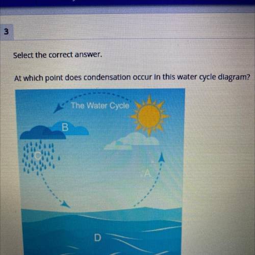 At which point does consideration a cure and the water cycle diagram? 
A
B
C
D
