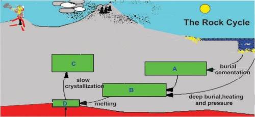 HELP ASAP BEST AWNSER GETS BRAINLIEST

The diagram below shows a portion of the rock cycle.
At wha