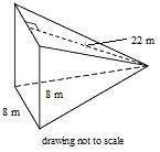 Find the lateral area of the square pyramid.​