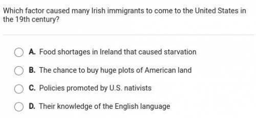 Which factor caused many Irish immigrants to come to the United States in the 19th century?