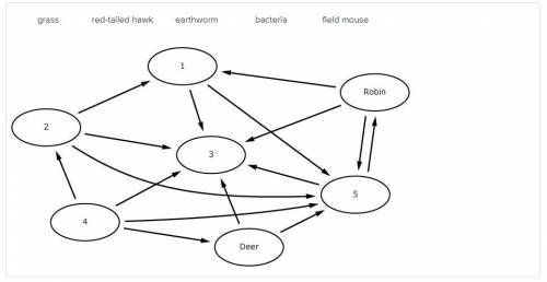 Complete this food web by moving the organisms to the correct locations in the diagram. Arrows poin