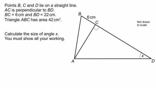 Calculate the size of angle x pls