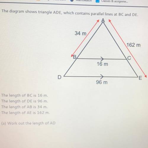 Guys help! I need a right answer for this.