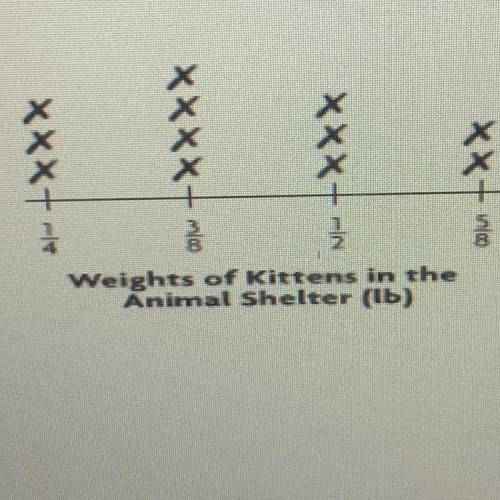 How many kittens weigh at least 3/8 of a pound?!?!

A.12
B.9
C.7
D.4
Pls help I’m in a timer!