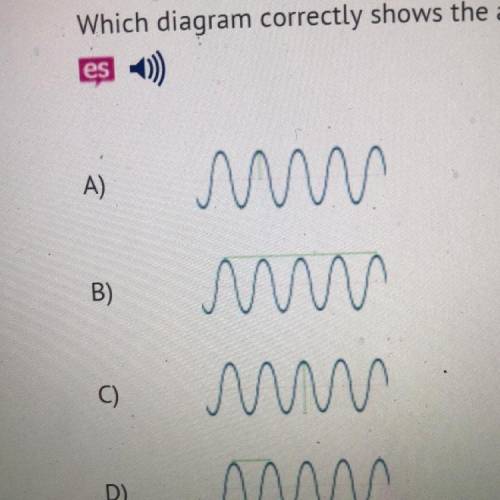 Which diagram correctly shows the amplitude of the transverse wave?
Help plz