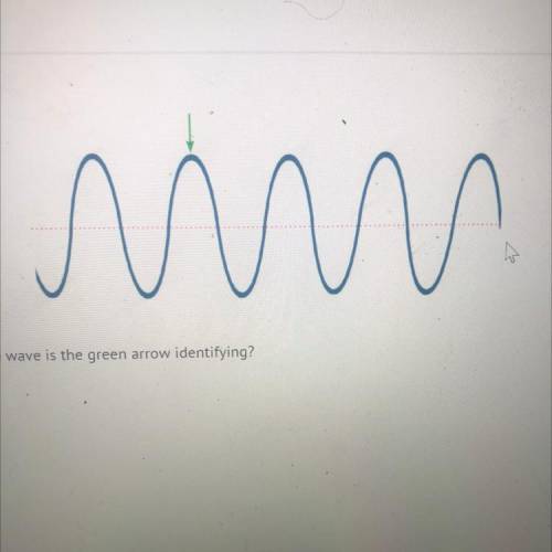 What part of this transverse wave is the green arrow identifying?
Help plz