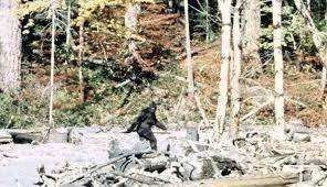 Is there a such thing as bigfoot, cus I'VE ALWAYS WANTED TO SEE HIM?