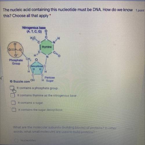 The nucleic acid containing this nucleotide must be DNA. How do we know 1

this? Choose all that a