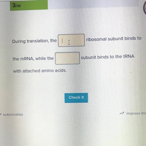 During translation, the _______

ribosomal subunit binds to
the mRNA, while the _______
subunit bi