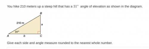 You hike 210 meters up a steep hill that has a 31degree angle of elevation as shown in the diagram.