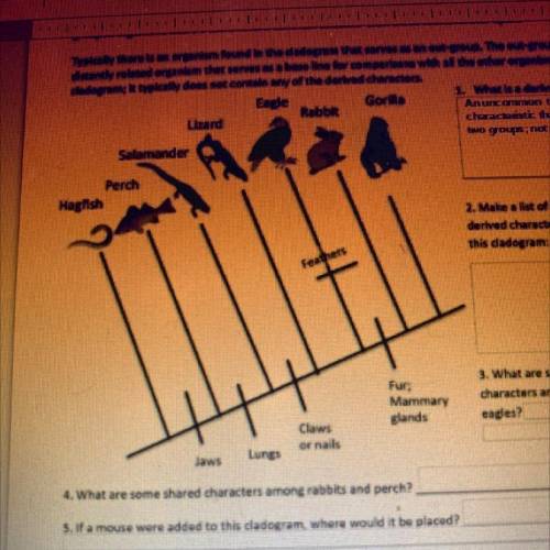 Can someone explain how a cladogram works?