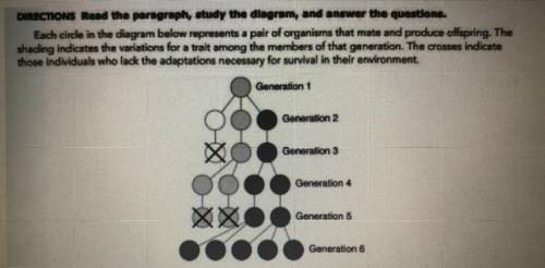 Which of Darwin four postulates are simulated in generation 2?

A. competition
B. genetic variatio