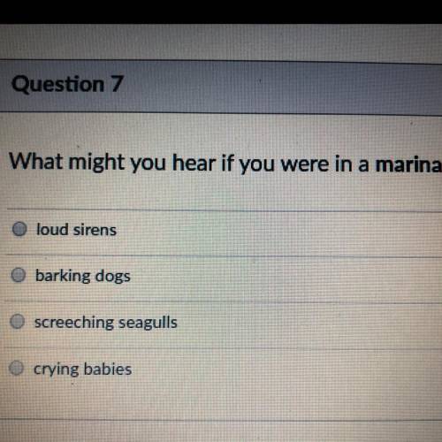 What might you hear if you were in a marina?

1. loud sirens
2. barking dogs
3. screeching seagull