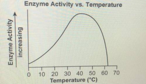 7. What is this enzymes optimum temperature?

Enzyme Activity vs. Temperature
a. 60 degrees Celsiu