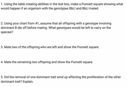 Help please? 5 part punnett square bio assignment. 40 POINTS! oh and its due in an hour :P