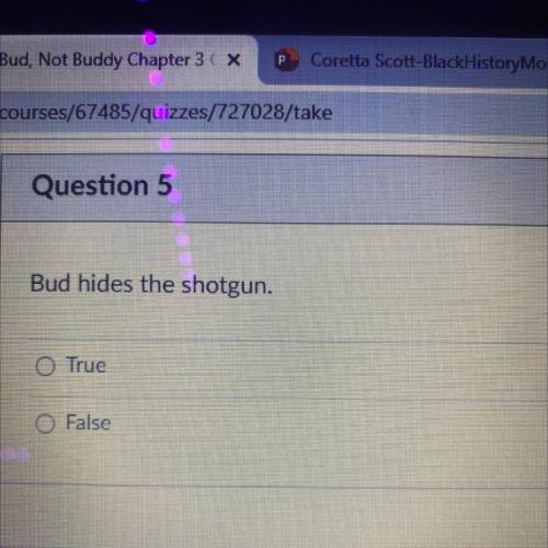 HELPPP! Did Bud hide the shotgun?