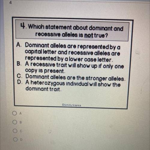 Which statement about dominant and

recessive alleles is not true?
A. Dominant alleles are represe