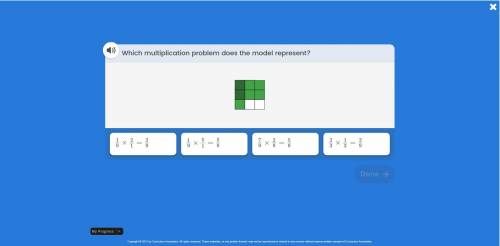 Which multiplication problem does the model represent?