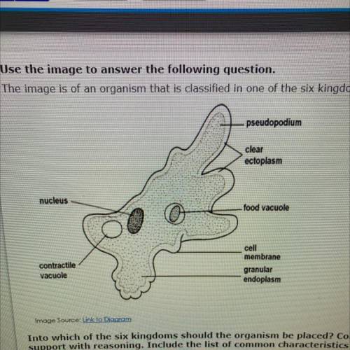 Use the image to answer the following question.

The image is of an organism that is classified in