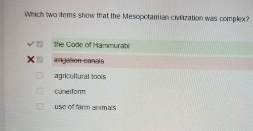 Which two items show that the Mesopotamian civilization was complex?

A the Code of Hammurabi B ir