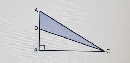 In the diagram, AB=9, DB=5, and BC=12. if m< B = 90, what is the perimeter of ADC ?​