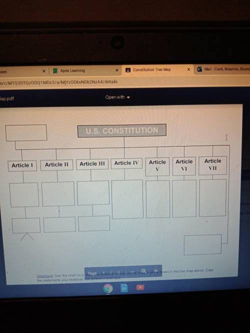 What's the answers to my Constitution Tree Map