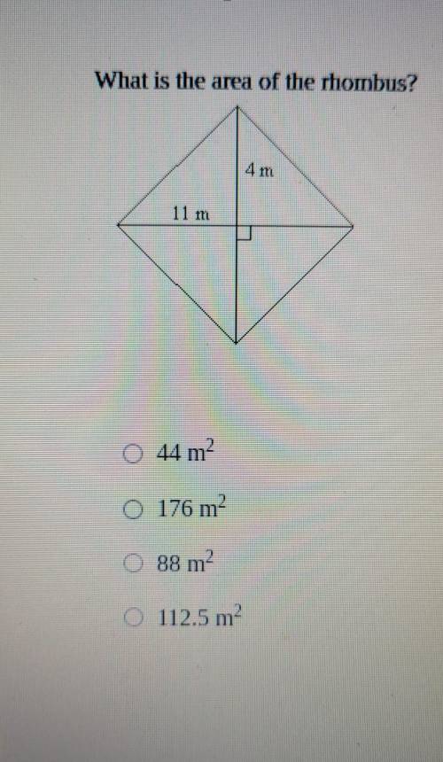 What is the area of the Rhombus​