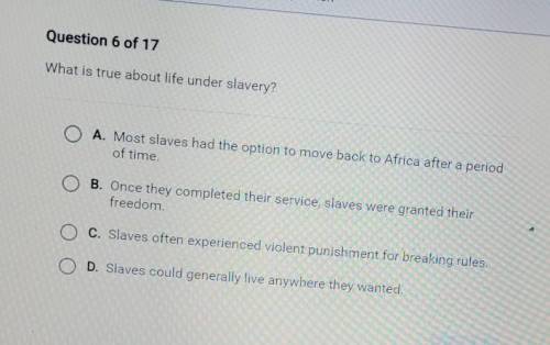 What is true about life under slavery

A. Most slaves had the option to move back to Africa after