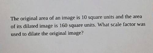 Need help with geometry!! Thank you :)​