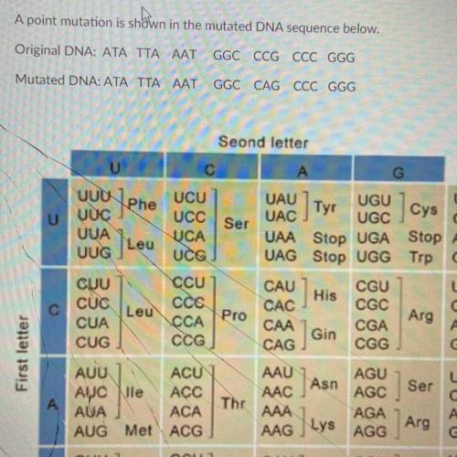 Will

this mutation affect the protein resulting from this gene sequence?
No, because the amino ac
