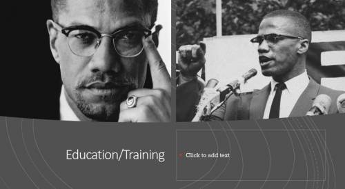 What was Malcom X Education/Training do not use wikipedia i will be giving brainlist