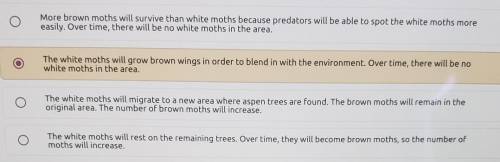 1Some moths have a brown body and brown wings, while other moths have a white body and white wings.