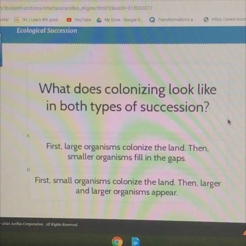 What does colonizing look like
in both types of succession?