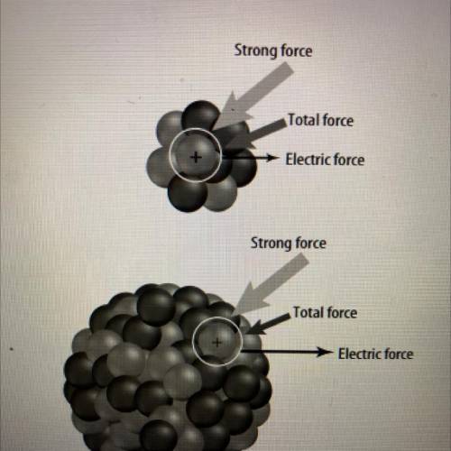 Which nucleus in the diagram below has the larger repulsive force?