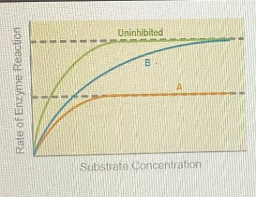 The image shows the rate of an enzyme reaction under conditions of no inhibition, competitive inhib