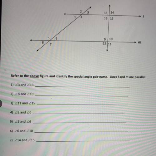 I need help with this, please answer