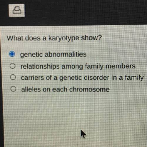 What does a karyotype show?