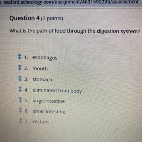 What is the path of food through the digestion system?

I only need help with this all you have to