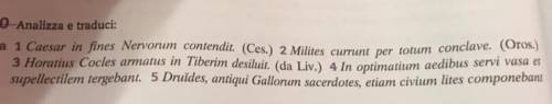 (latin) someone could make me the analysis of these sentences?