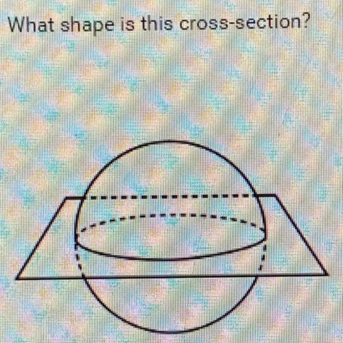 What shape is this cross-section?
A. Pyramid
B. Circle
C. Rectangle
D. Triangle