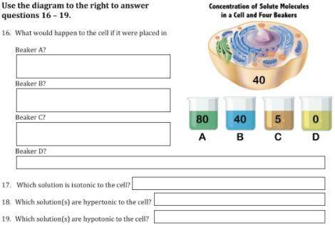 HELPPPPPPP
Use the diagram to the right to answer questions 16 - 19