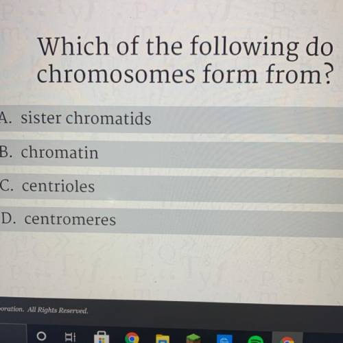 Which of the following do chromosomes form from