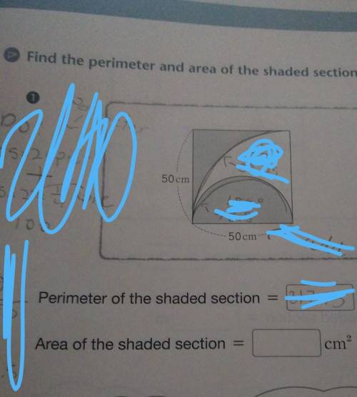 Rly need help with this perimeter problem to find perimeter of shaded section! pls give full explan