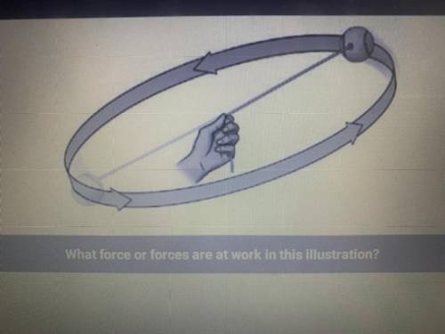 What force or forces are at work in this illustration?