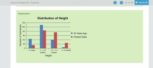 Using the data in the table, make a bar graph that shows the distribution of height for the sheep b