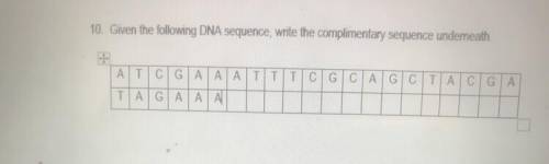 Urgent!! I don’t know if I’m on the right track so can somebody just redo and answer the bottom row