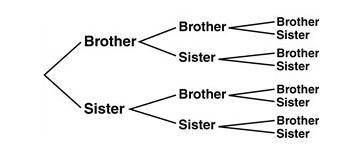 Sarah is the oldest of four children in her family.

What is the probability she has two brothers