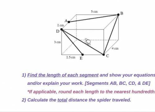 Please, i need help with the spider in the box question
